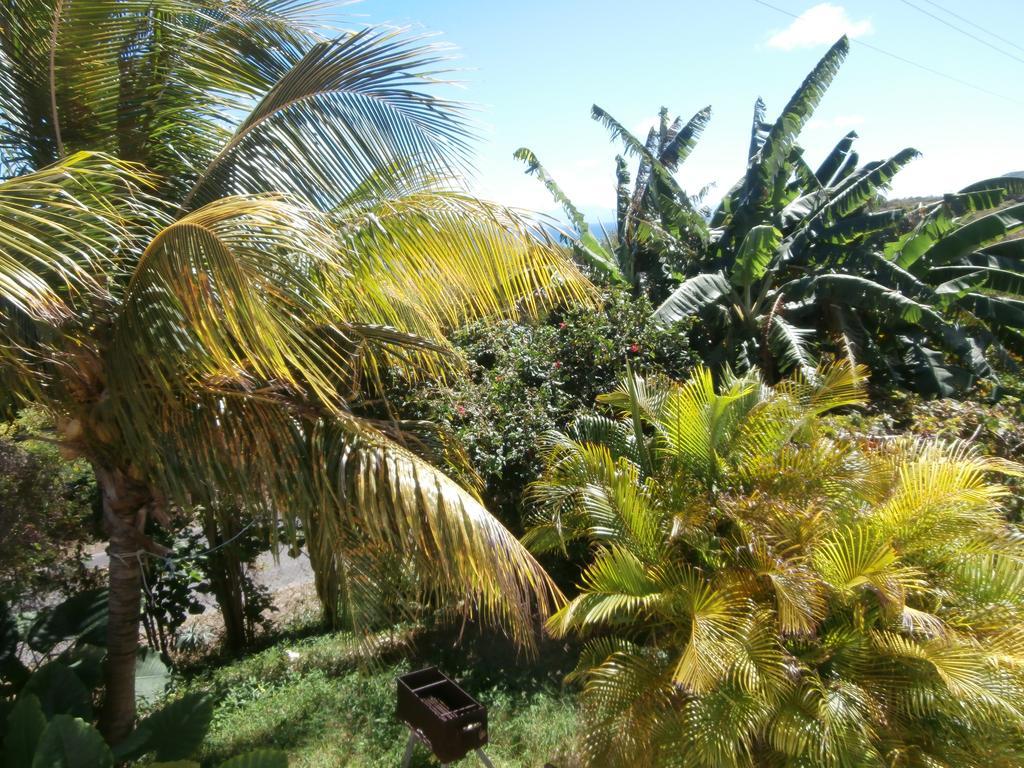 Villa Alizea Capesterre Exteriér fotografie
